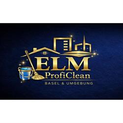 Elm Proficlean & Pflege Stanculovic