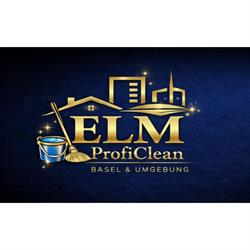 Elm Proficlean & Pflege Stanculovic