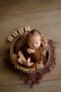 Newborn