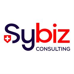 Sybiz SA Consulting