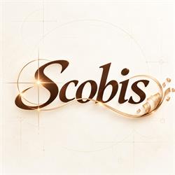 Scobis Raumdesign AG ehemals H. Lienhard AG