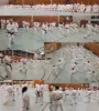 Karate-Training für Erwachsene und Jugendliche Kampfsportschule Aarau