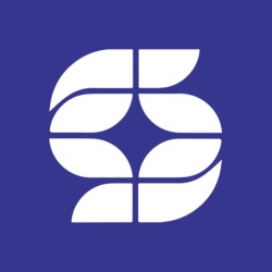 BigFollow