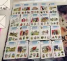 Kartendeck Medium Charlotte ohne Vorab Info von Salish Skat Lenormand  Punkte und Buchstabensystem