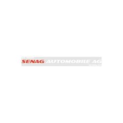 Senag Automobile AG - Deine Experten für US-Cars und Chinesische Elektroautos in der Schweiz
