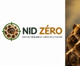 Nid Zero