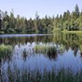Bewertungen