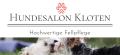 Hundesalon Kloten