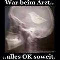 Bewertungen